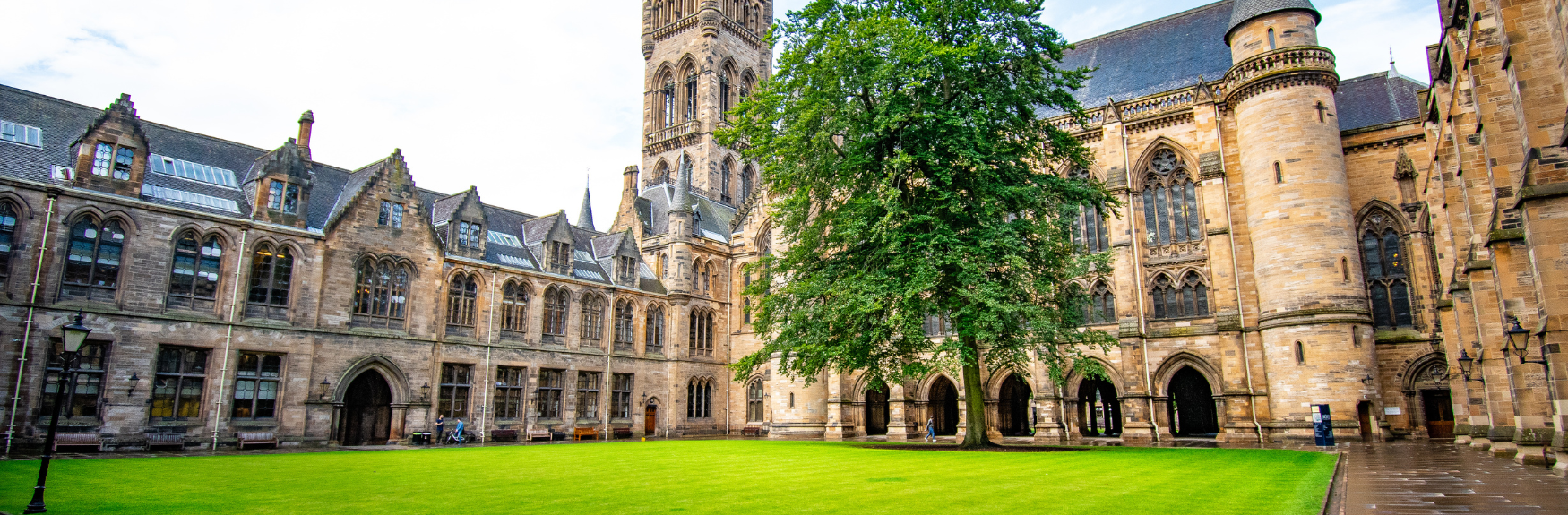 Higher & Further Education